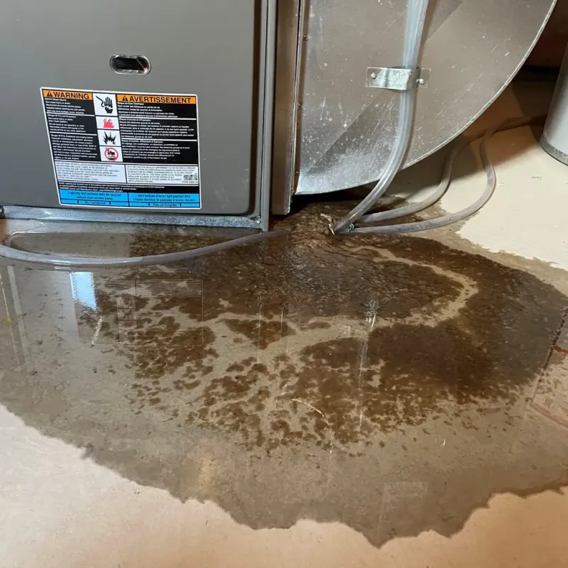 Appliance Leak Cleanup in Brier, WA